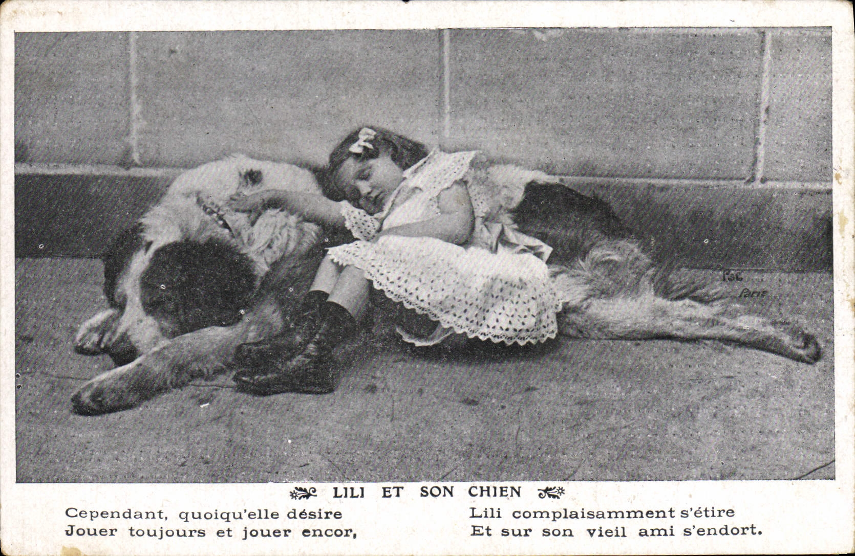 Vintage Postcard Dog Dogs Child Lili and his dog