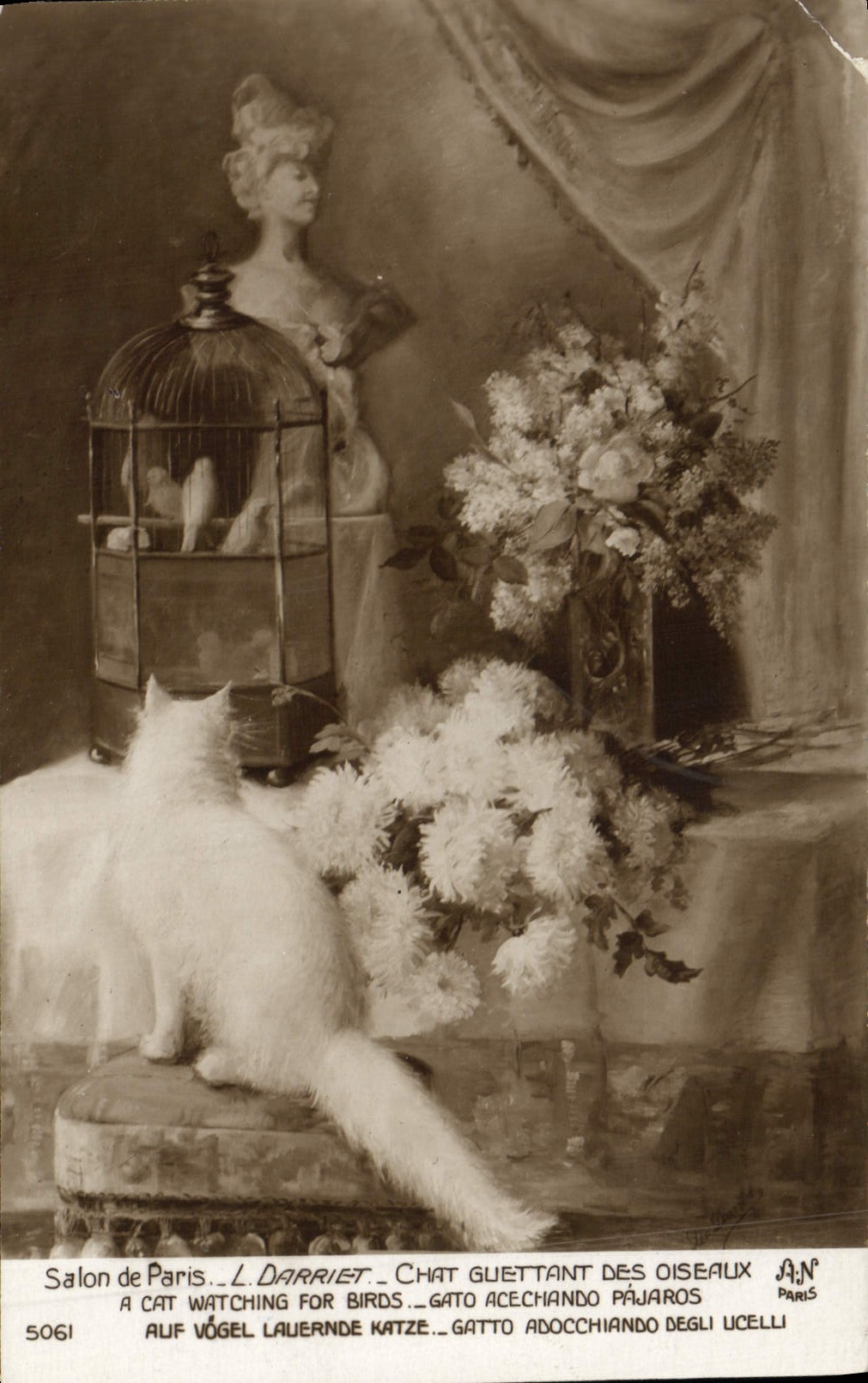 CPA Salon de Paris Darriet Chat guettant des oiseaux 