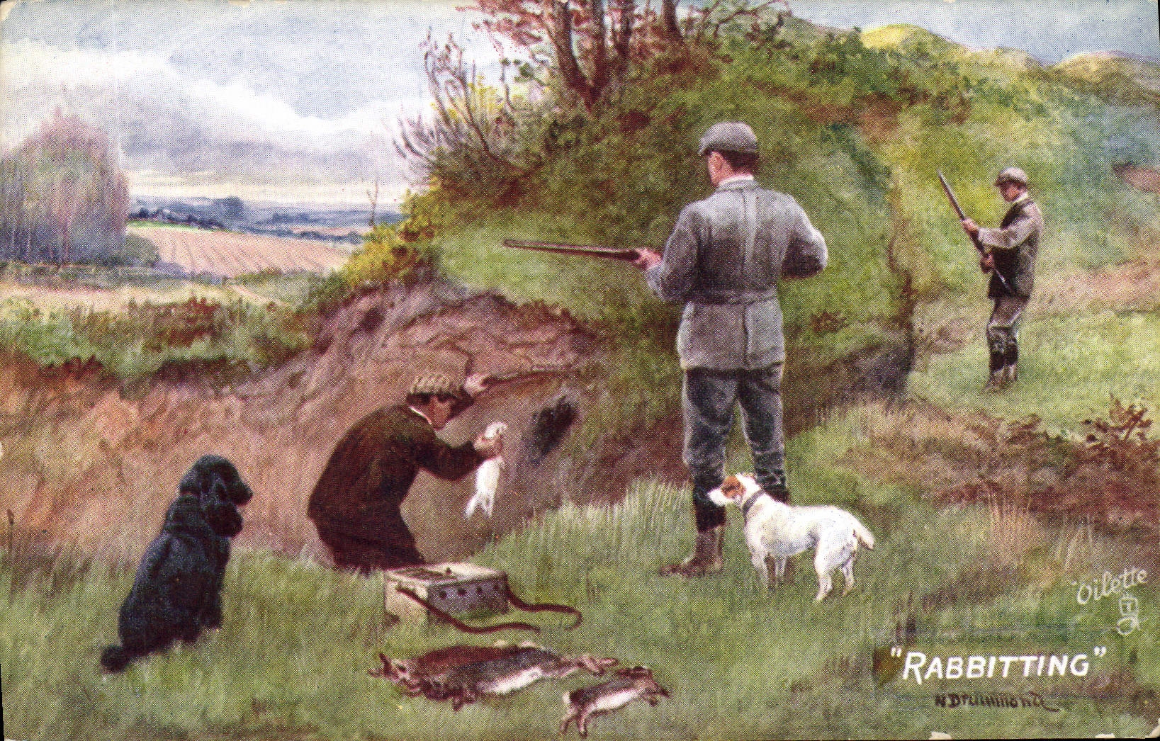 Postal Caza Rabbiting Conejo Cazador