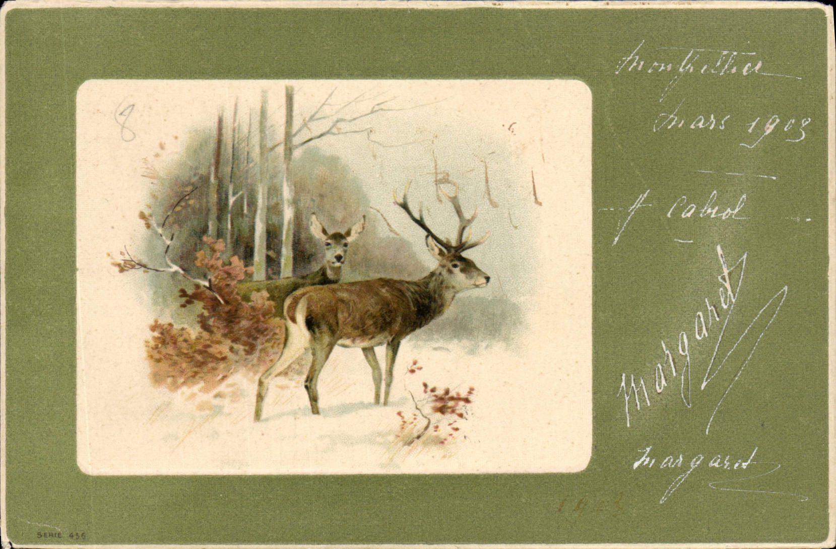 CPA Chasse Cerf Biches