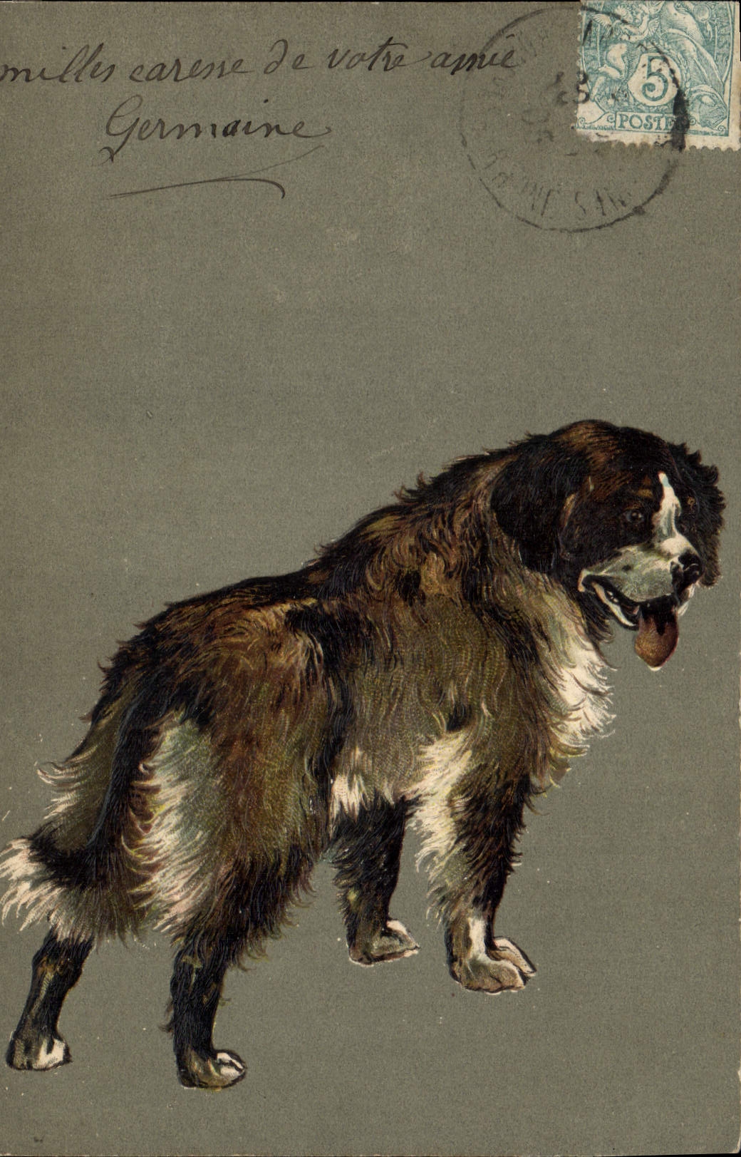 CPA Chien Chiens 