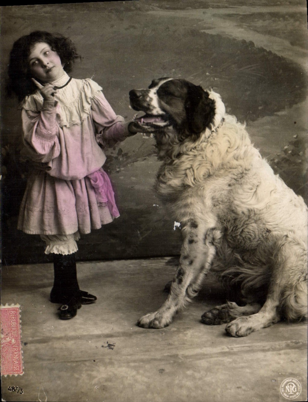 CPA Chien Chiens Enfant 