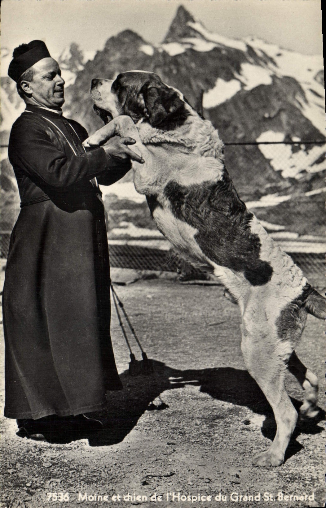 Vintage Postcard Dog Dogs Monk and dog of the old people's home of Large St Bernard