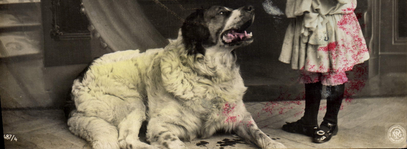 CPA Chien Chiens Enfant 