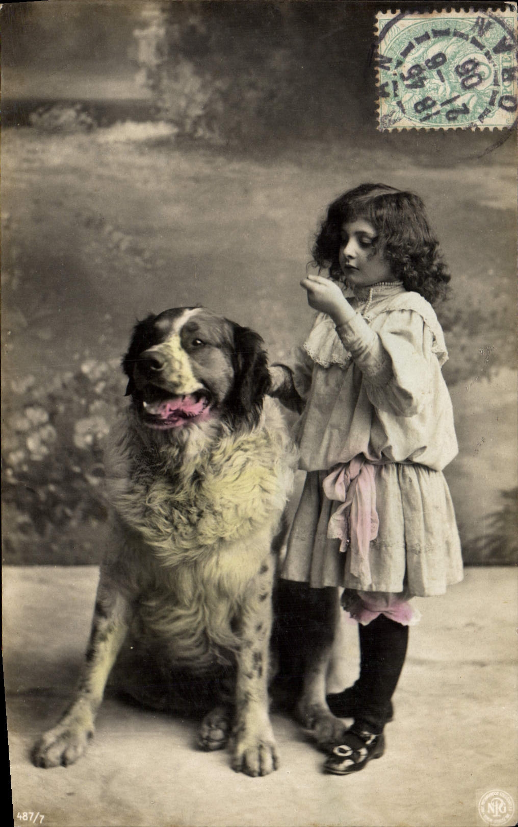 CPA Chien Chiens Enfant 