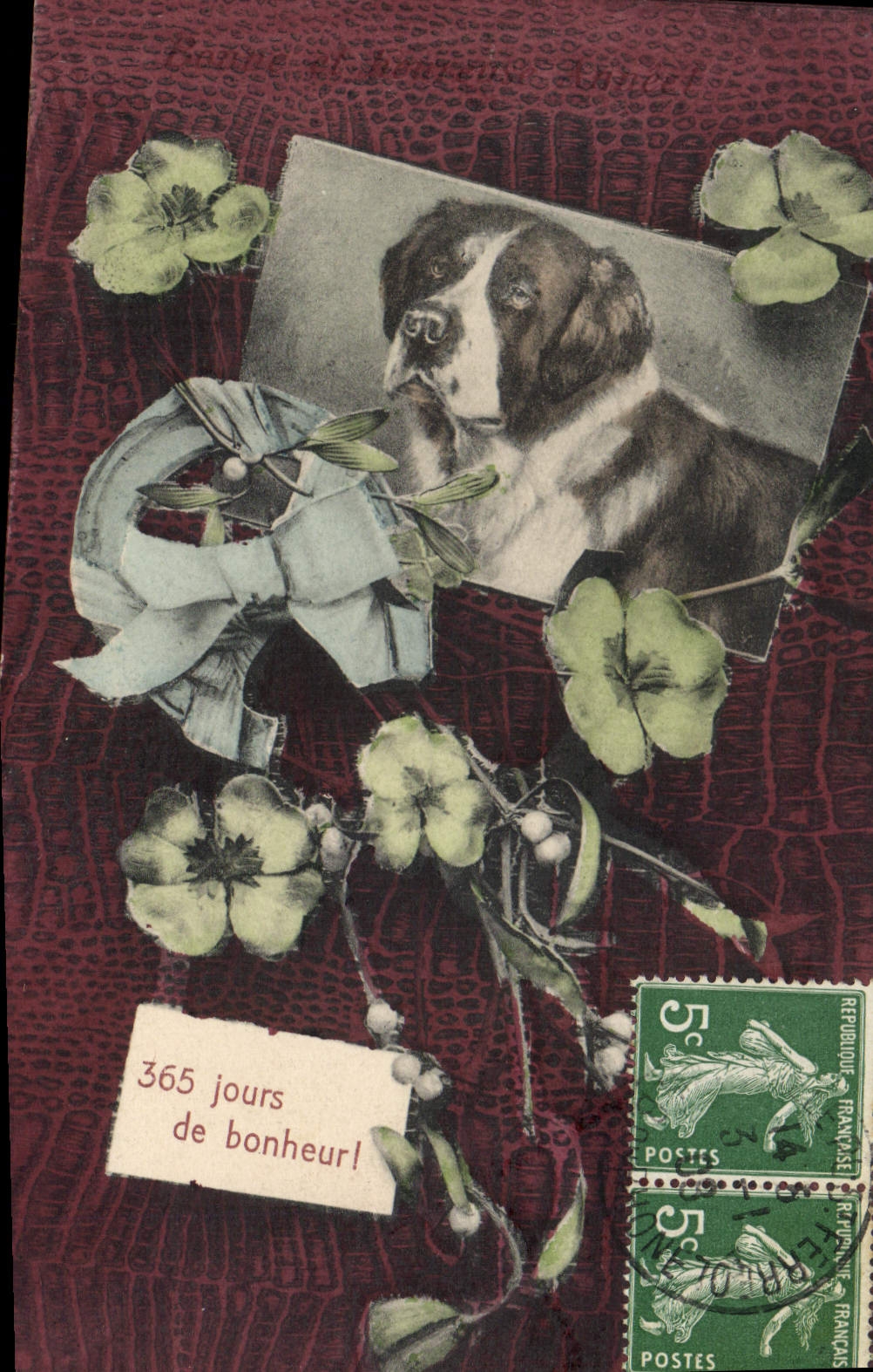 CPA Chien Chiens 
