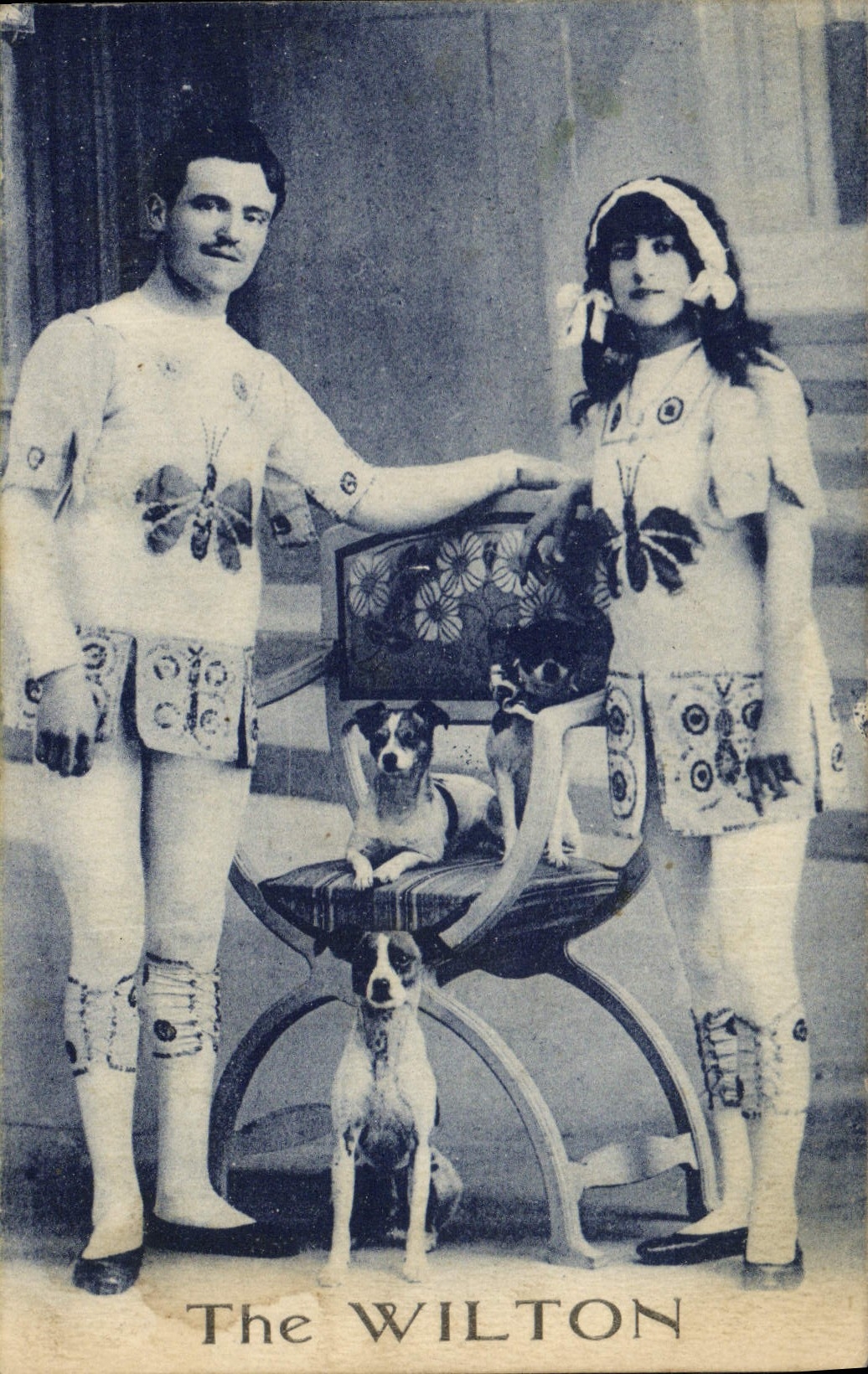 CPA The Wilton Chien Chiens 