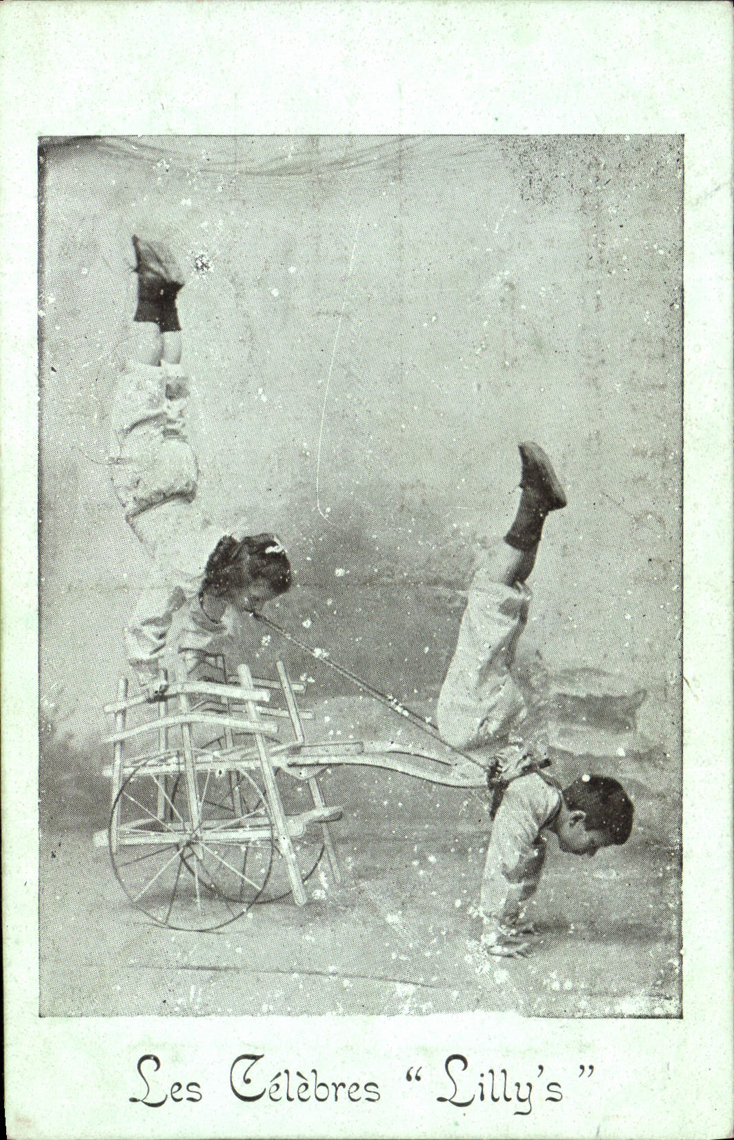 Postal los famosos Lilly' s