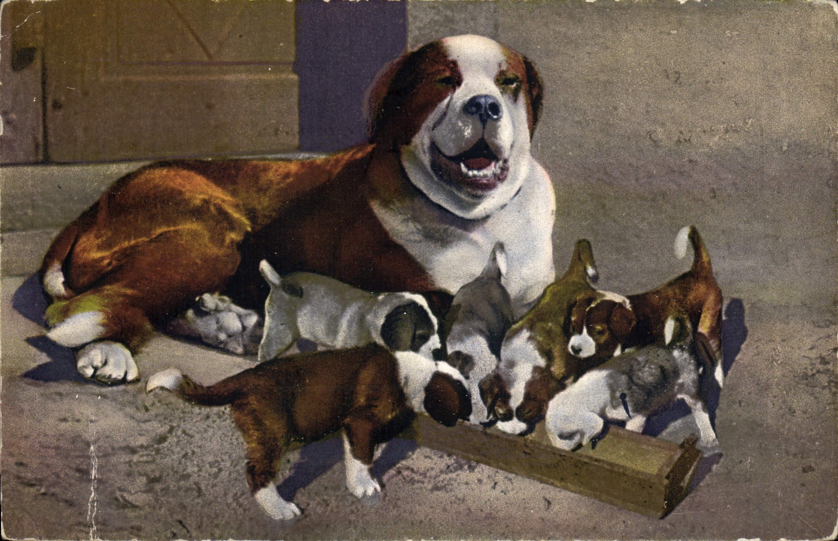 CPA Chien du St Bernard et sa nichee Chiens 