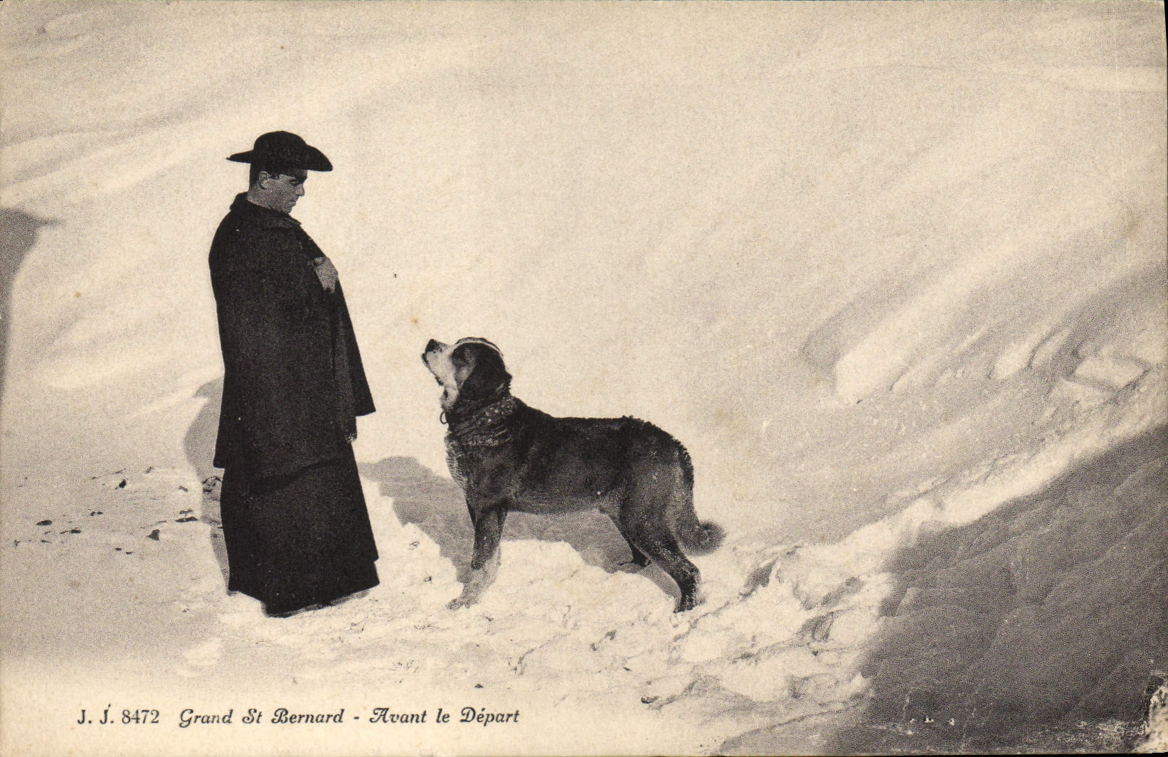 CPA Chien Chiens Grand St Bernard Avant le depart 