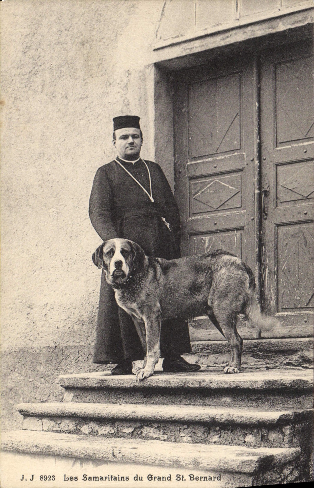 CPA Chien Chiens Les Samaritains du Grand St Bernard