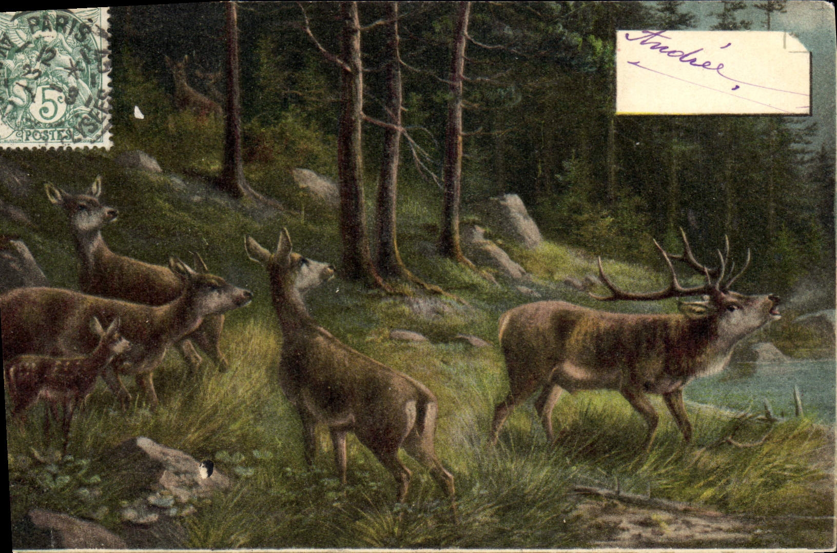 CPA Chasse Biche Cerf