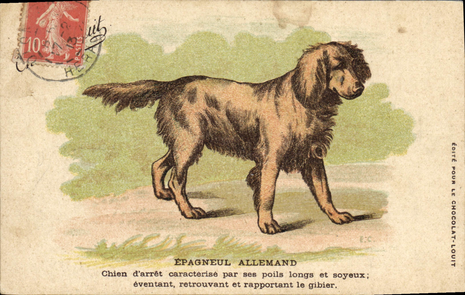 CPA Chasse Chien Epagneul allemand Chien d'arret
