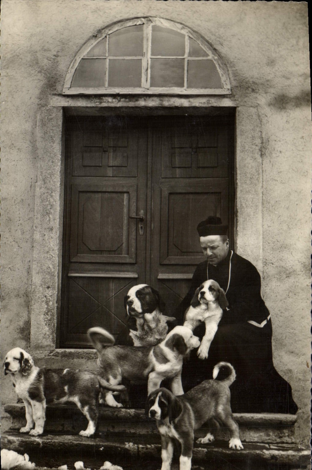 Vintage Postcard Dogs Dog Old people's home of Large St Bernard Pretre and family of young dogs