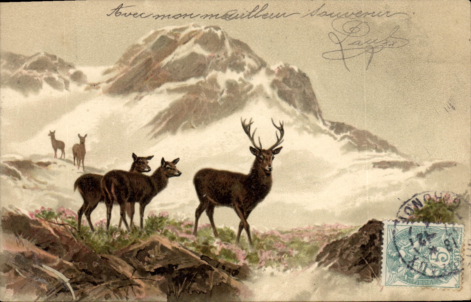 CPA Chasse Cerf Biches 