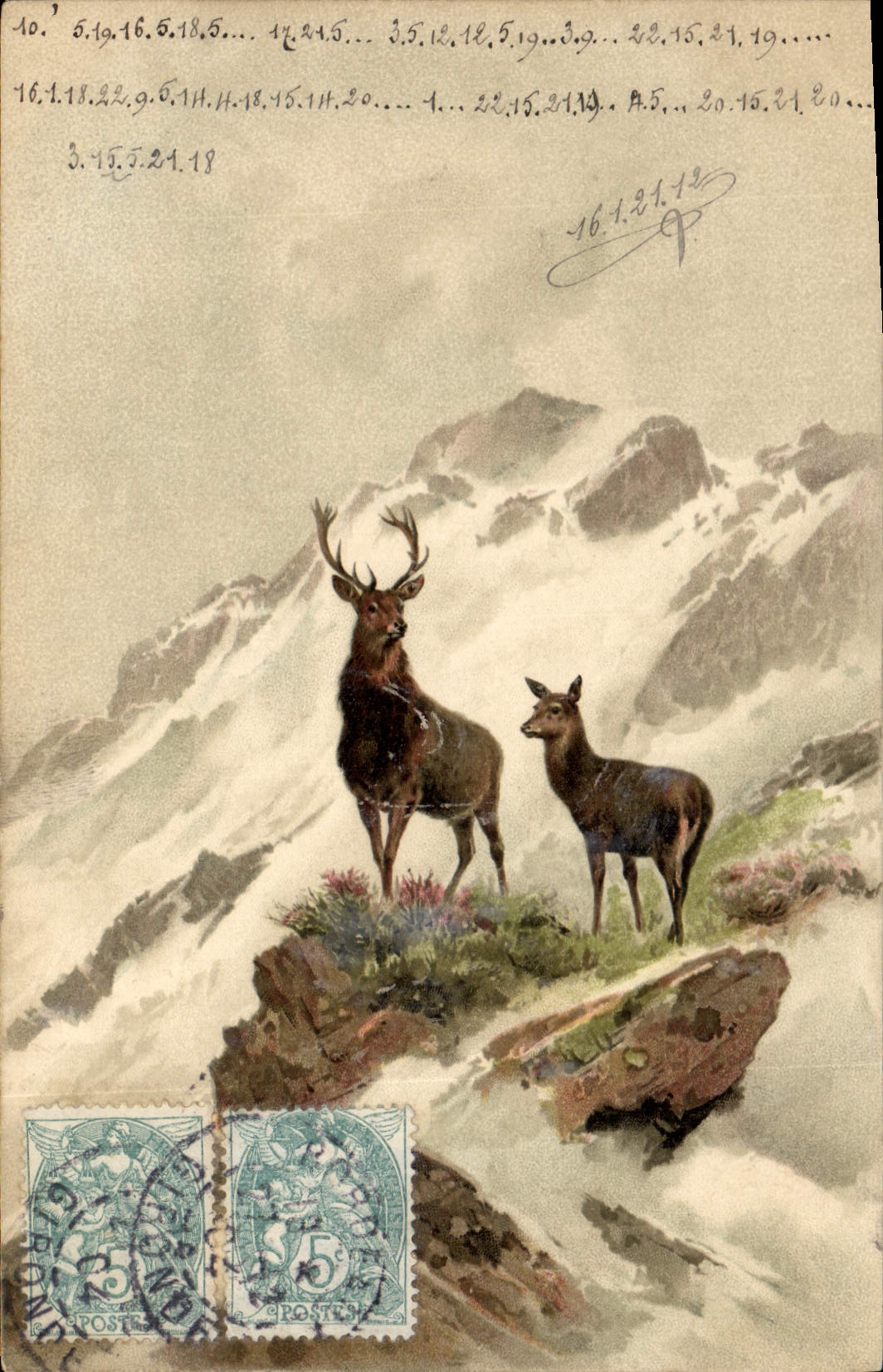 CPA Chasse Cerf Biche 