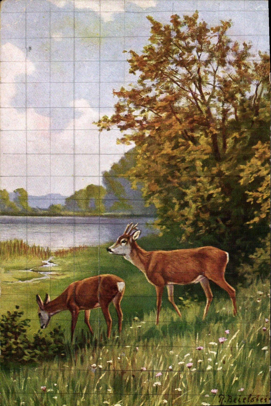 CPA Chasse Biche