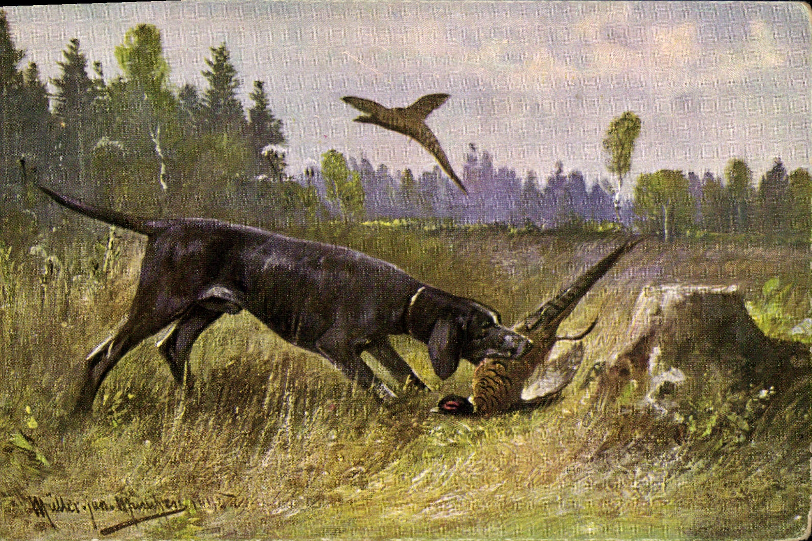 Vintage Postcard Drives out Dog Partridge