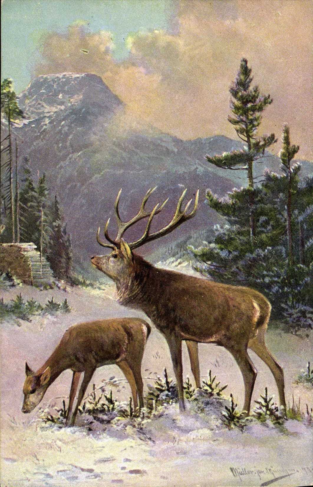 CPA Chasse Cerf Biche 