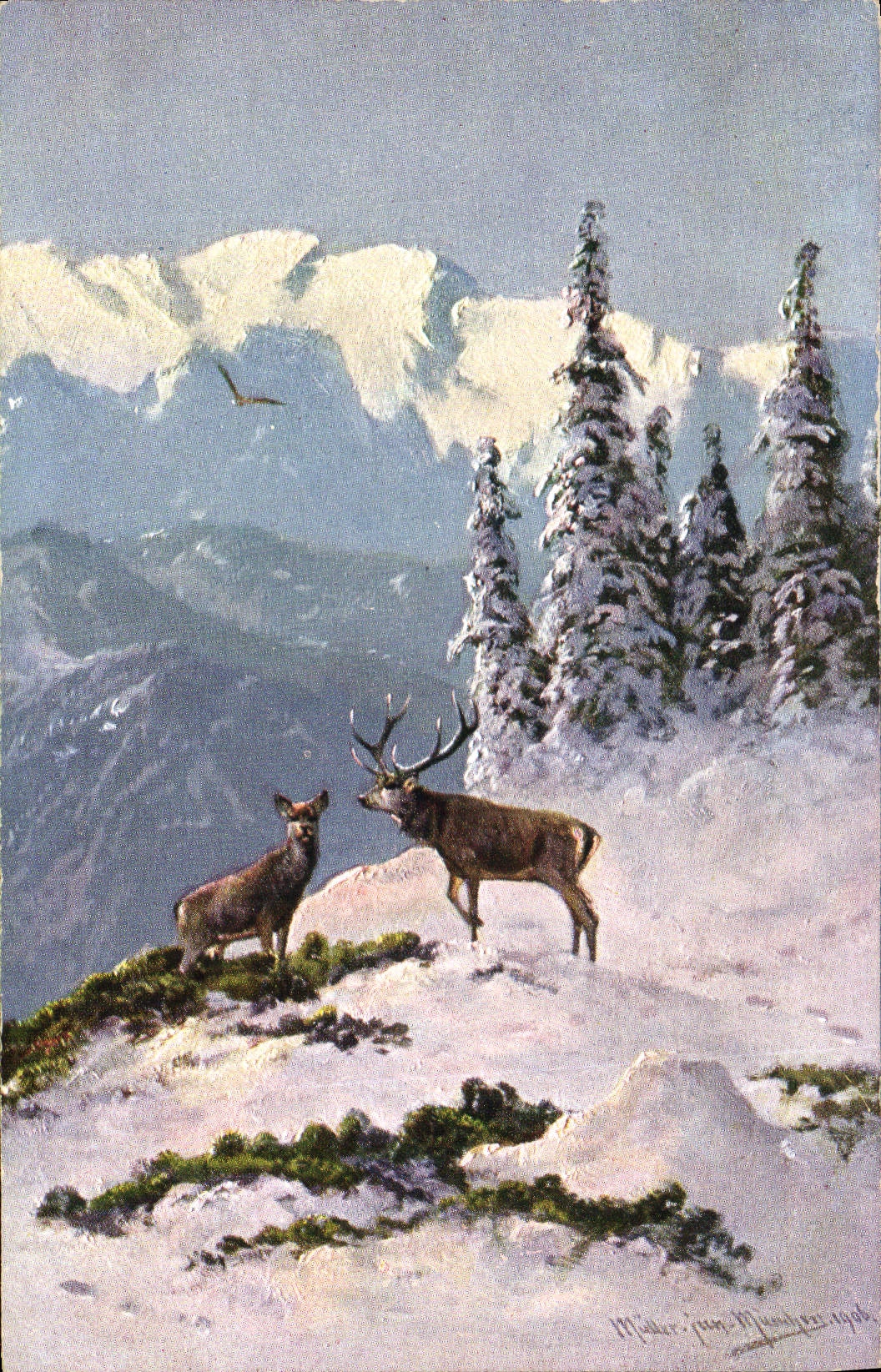 CPA Chasse Cerf Biche 