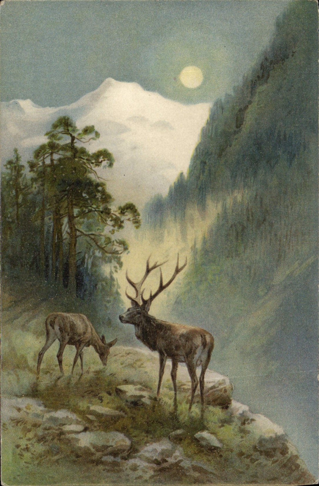 CPA Chasse Cerf Biche 