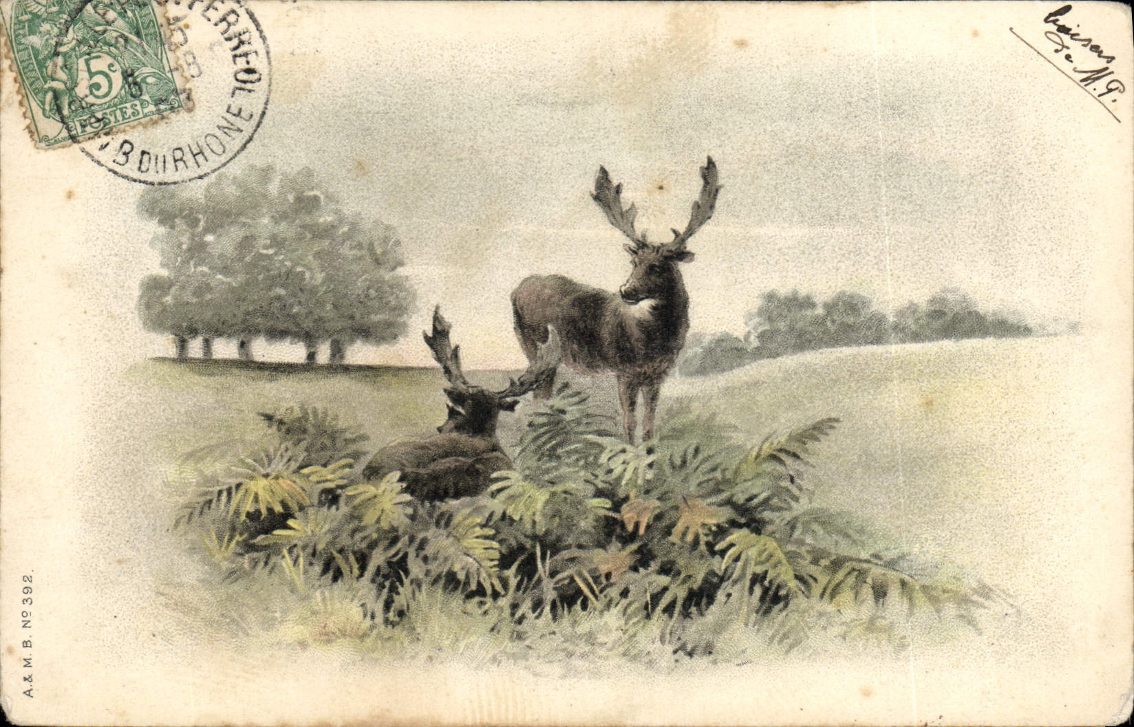 CPA Chasse Cerf 