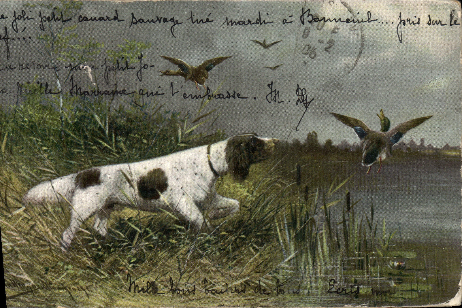 CPA Chasse Chien Canards 