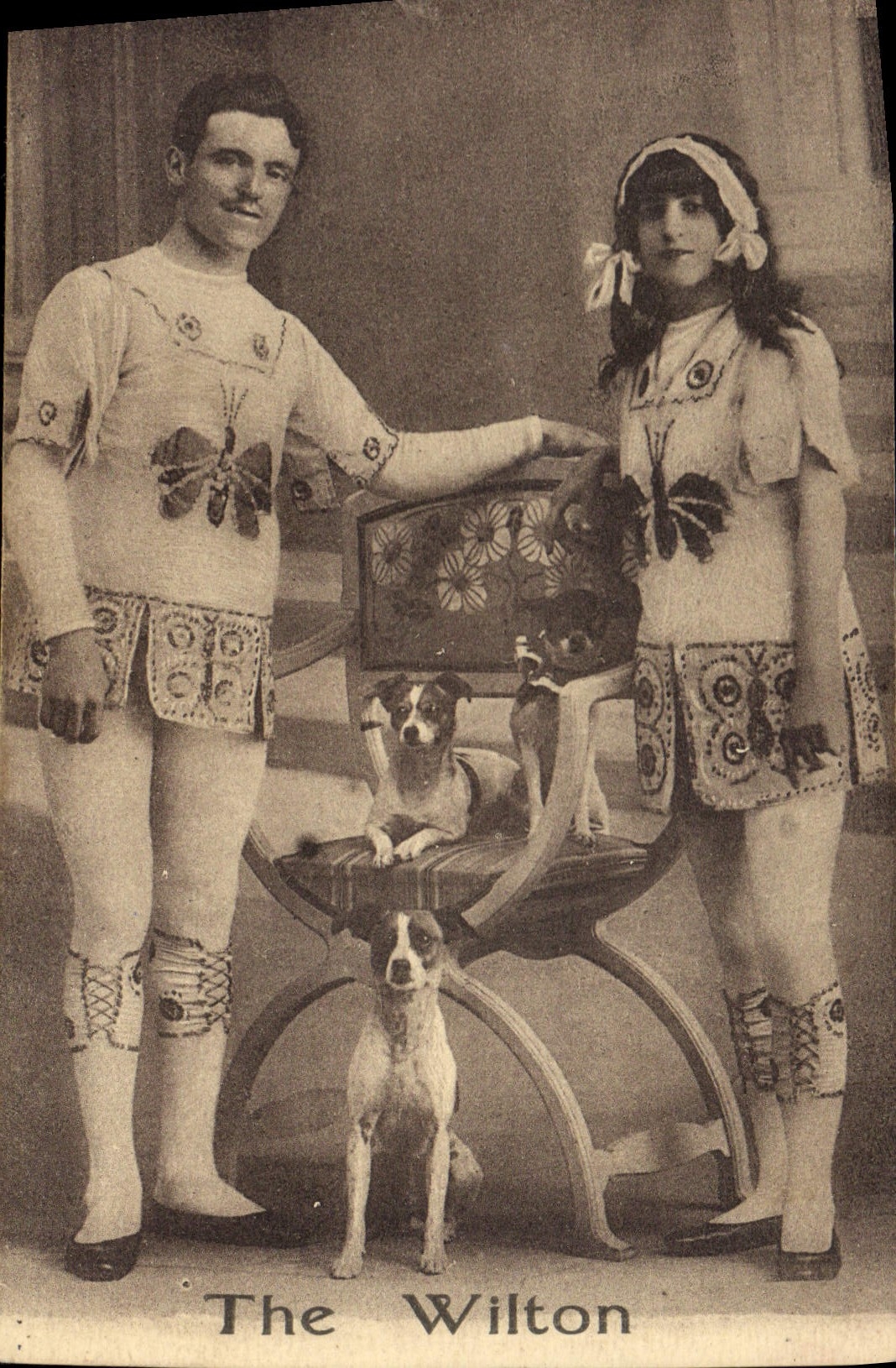 Vintage Postcard The Wilton Dog Dogs