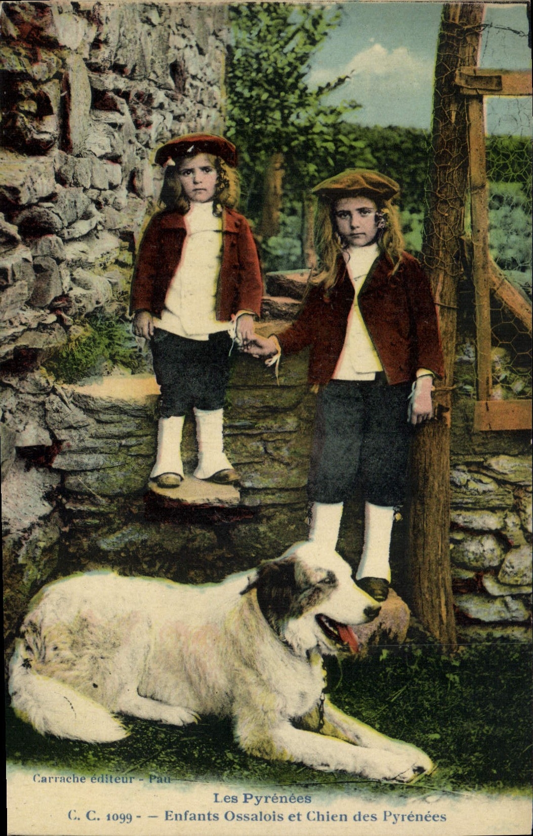 Vintage Postcard Dogs Children ossalois and Chien of the Pyrenees