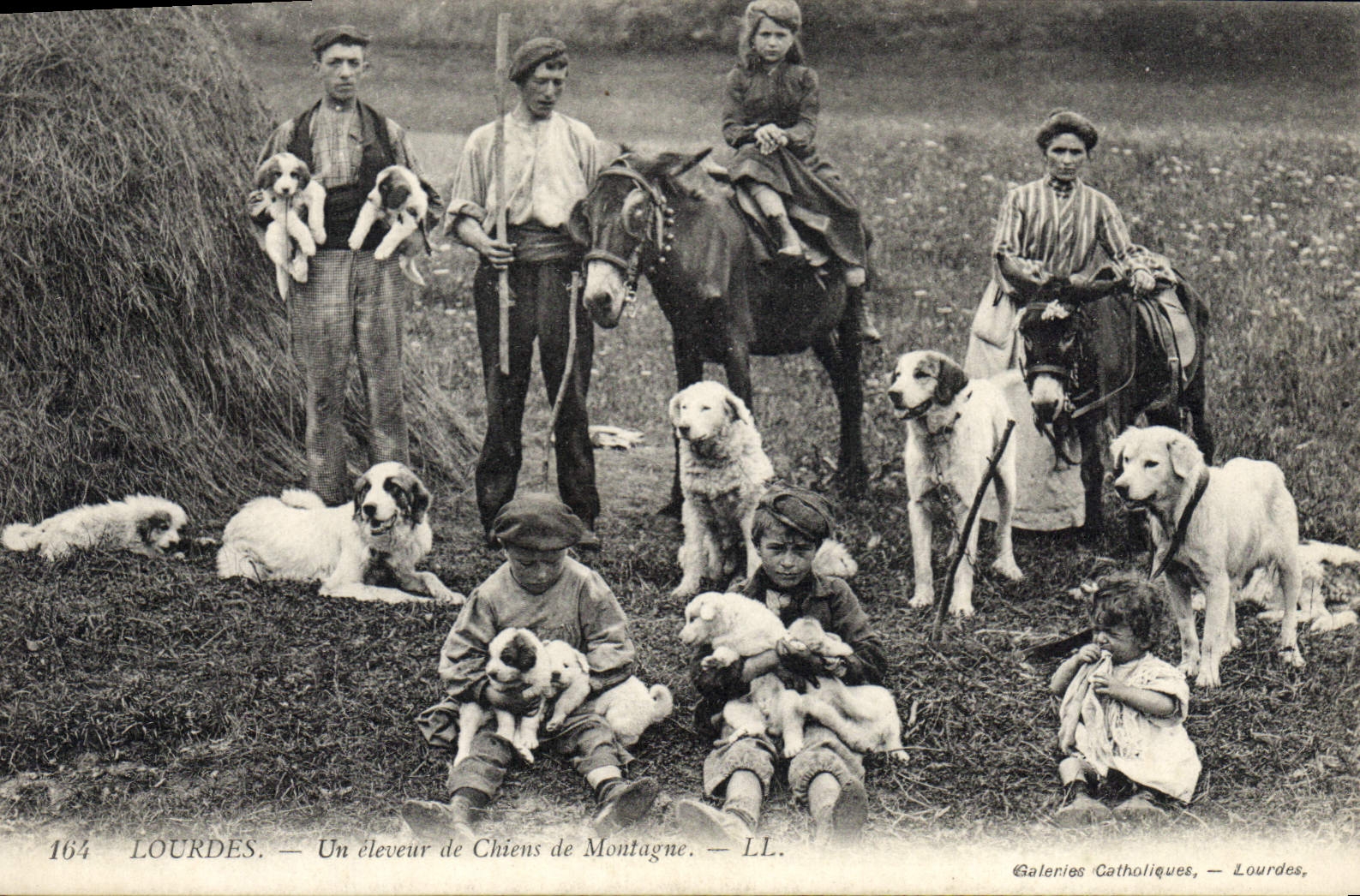 CPA Lourdes Un eleveur de Chiens de montagne Chien