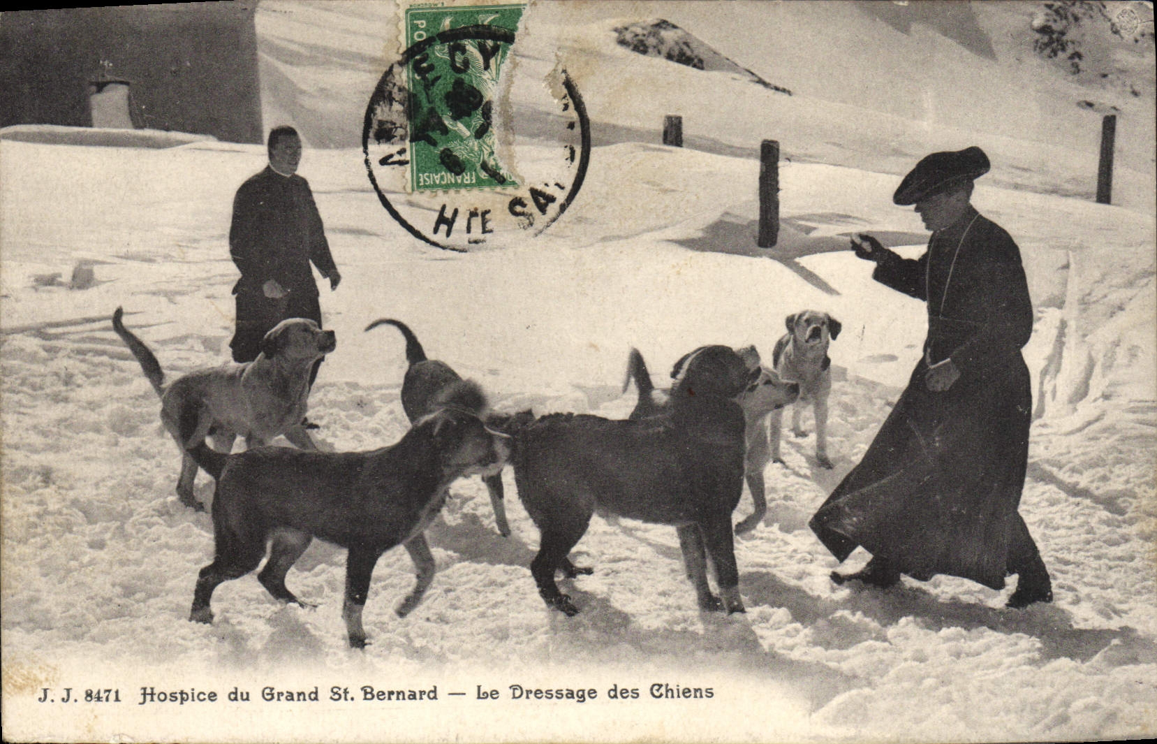 Vintage Postcard Dogs Dog Old people's home of Large St Bernard the raising of the dogs