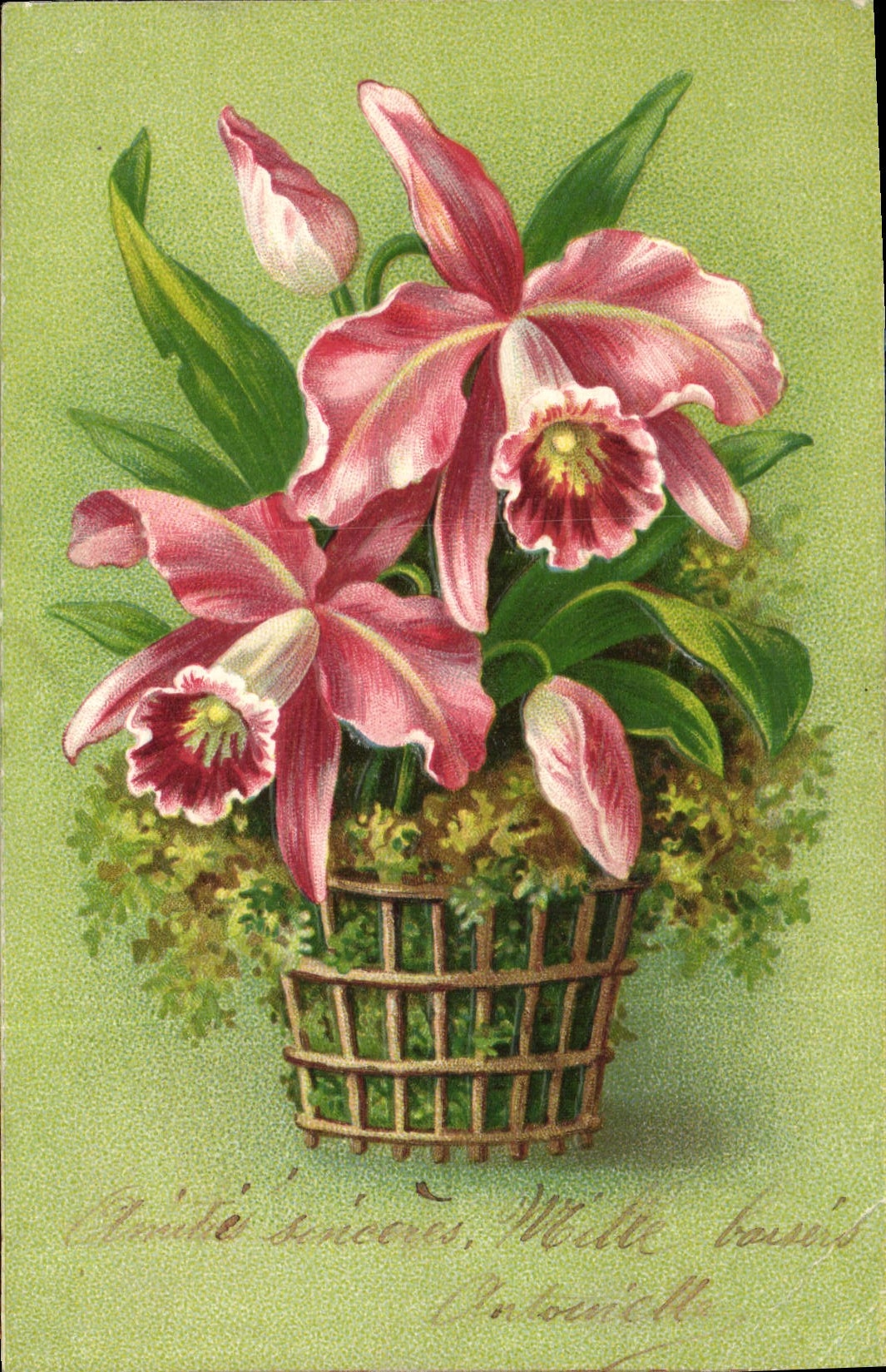 CPA Fantaisie Fleurs 