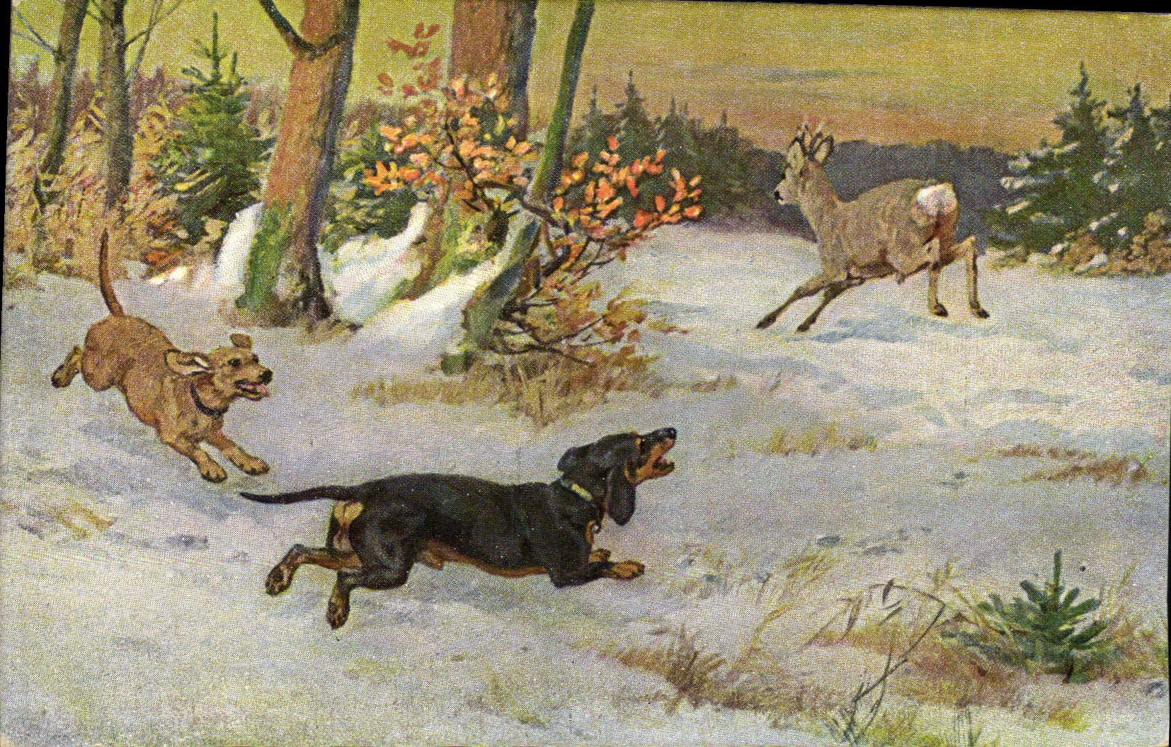 Vintage Postcard Chasse Dog Dogs Is tickled pink