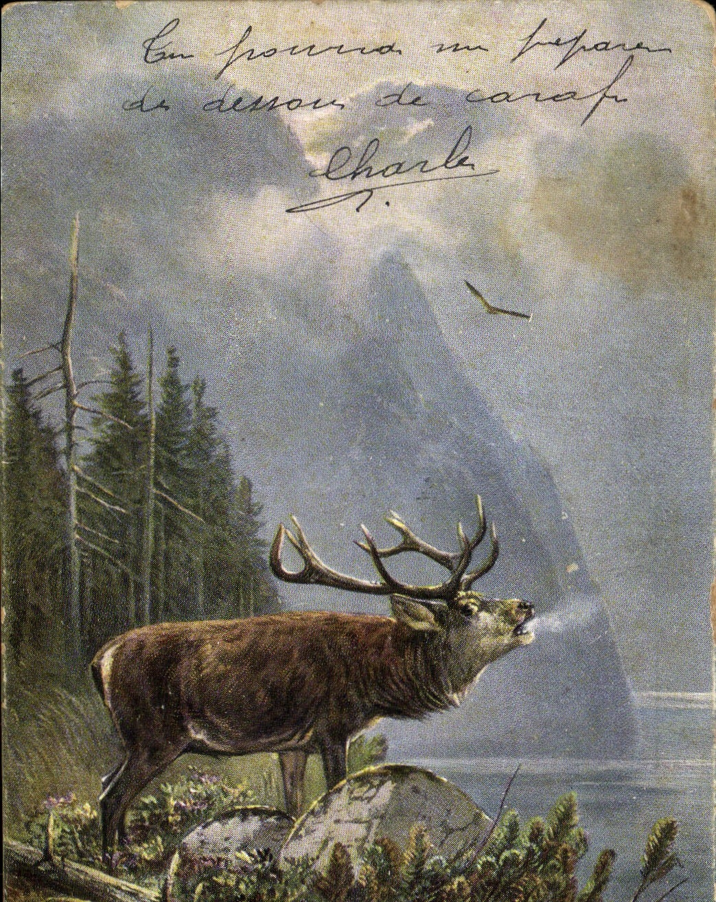 CPA Chasse Cerf 