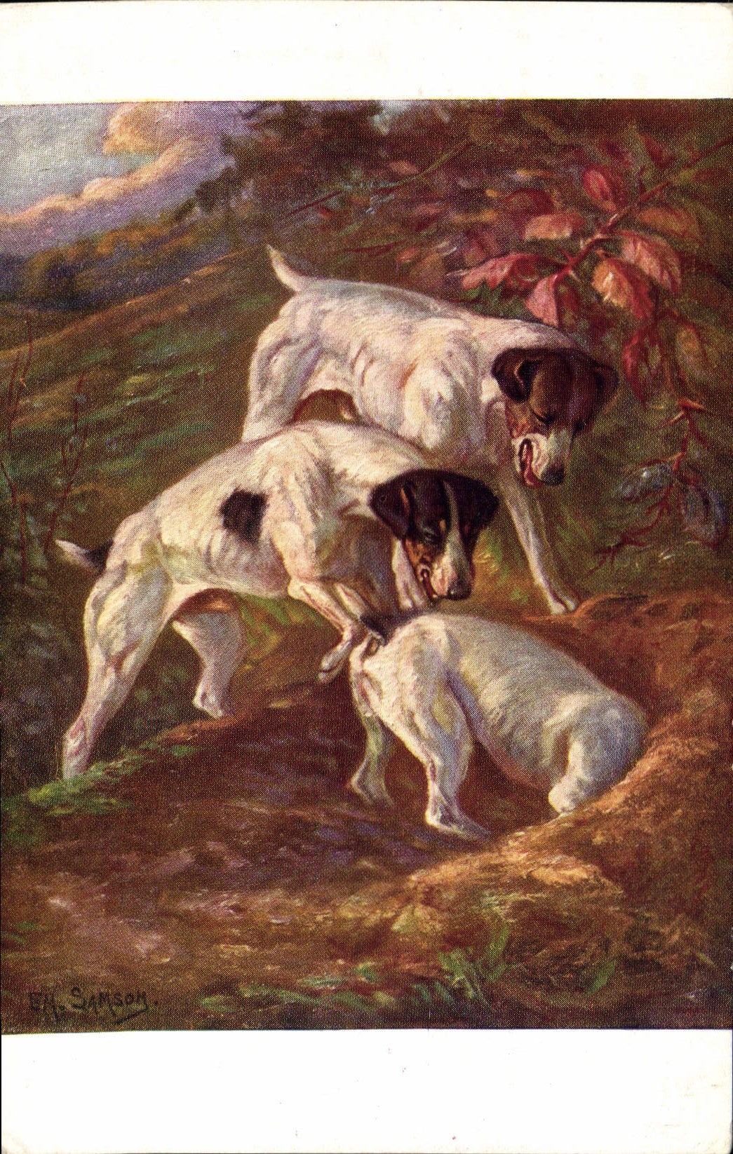 CPA Chasse Chien Chiens 