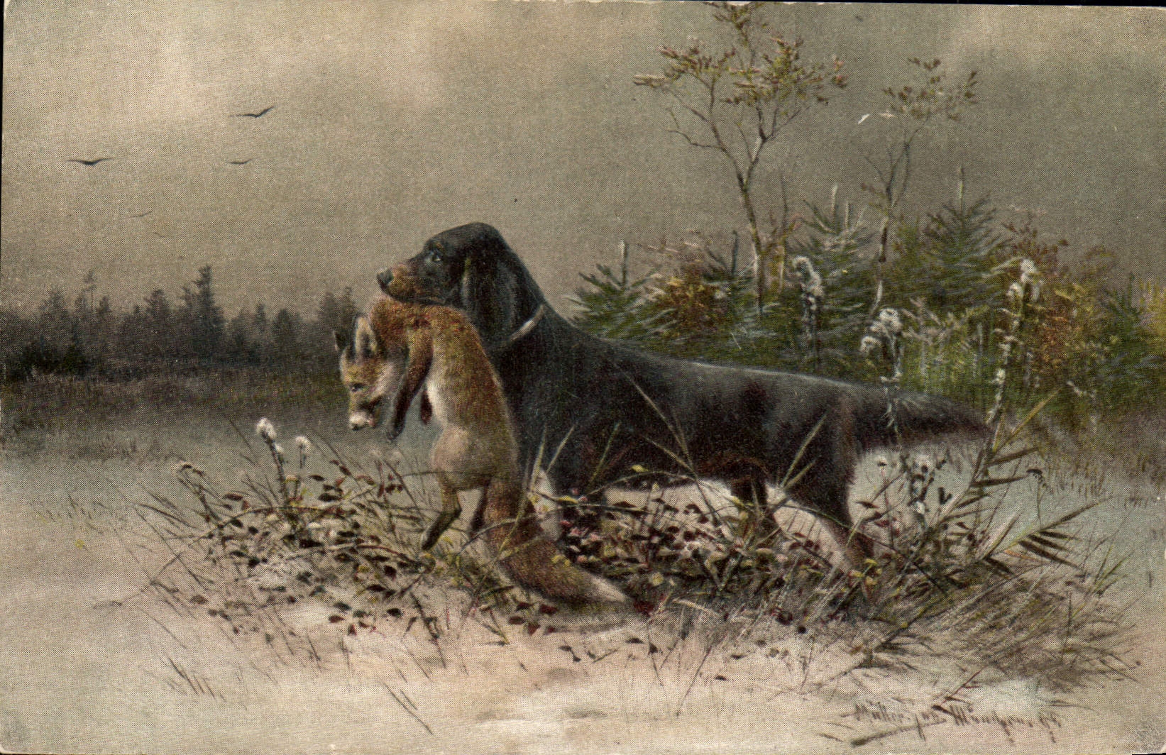 CPA Chasse Chien Renard 