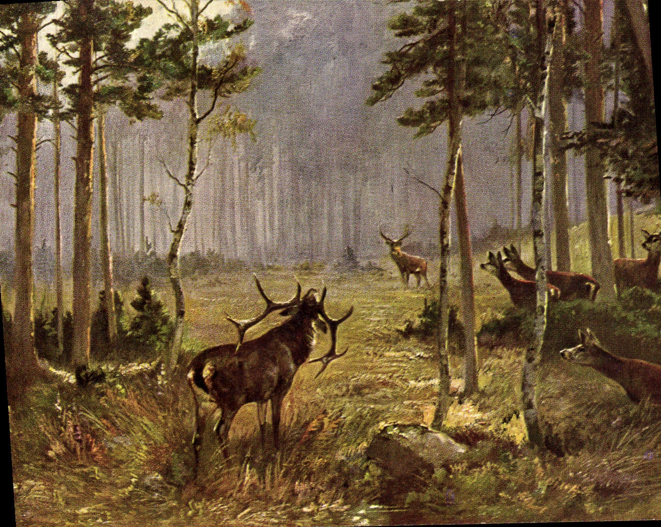 Vintage Postcard Drives out Hinds Stag