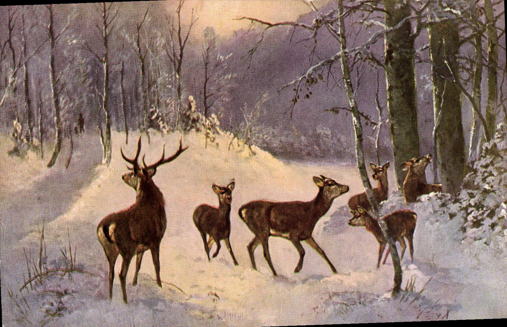 CPA Chasse Cerf Biches 