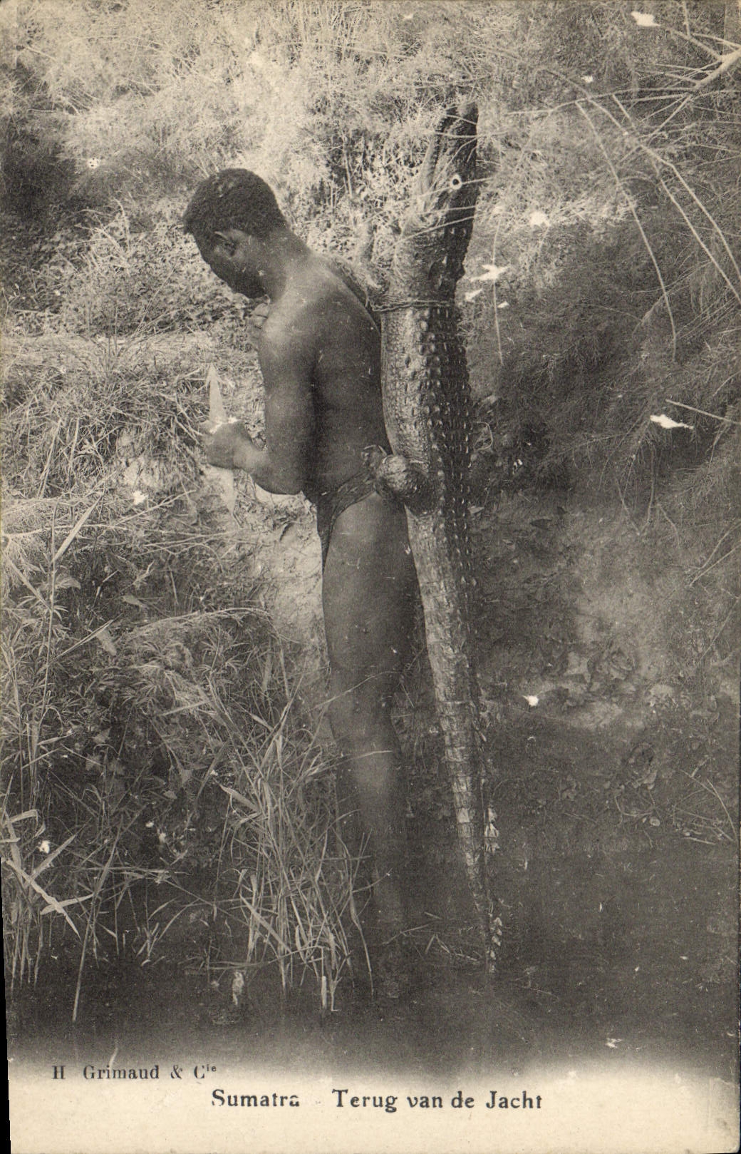 Vintage Postcard Drives out Sumatra Terug Van de Jacht Crocodile