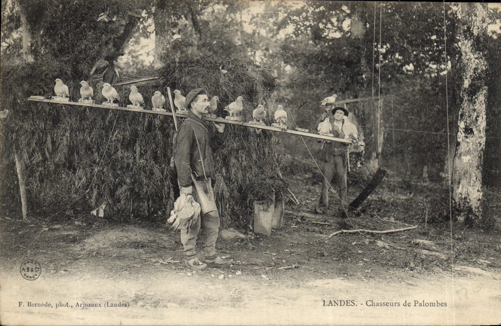 CPA Chasse Landes Chasseurs de Palombes TOP