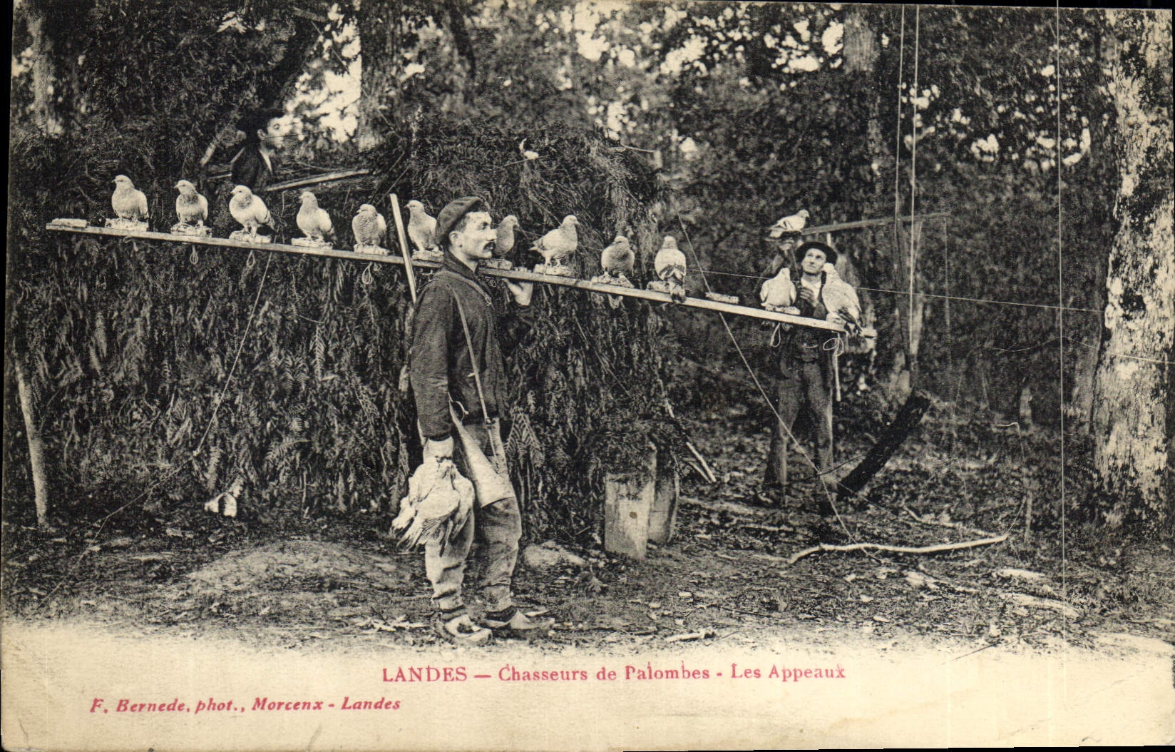 CPA Chasse Landes Chasseurs de palombes Les appeaux TOP
