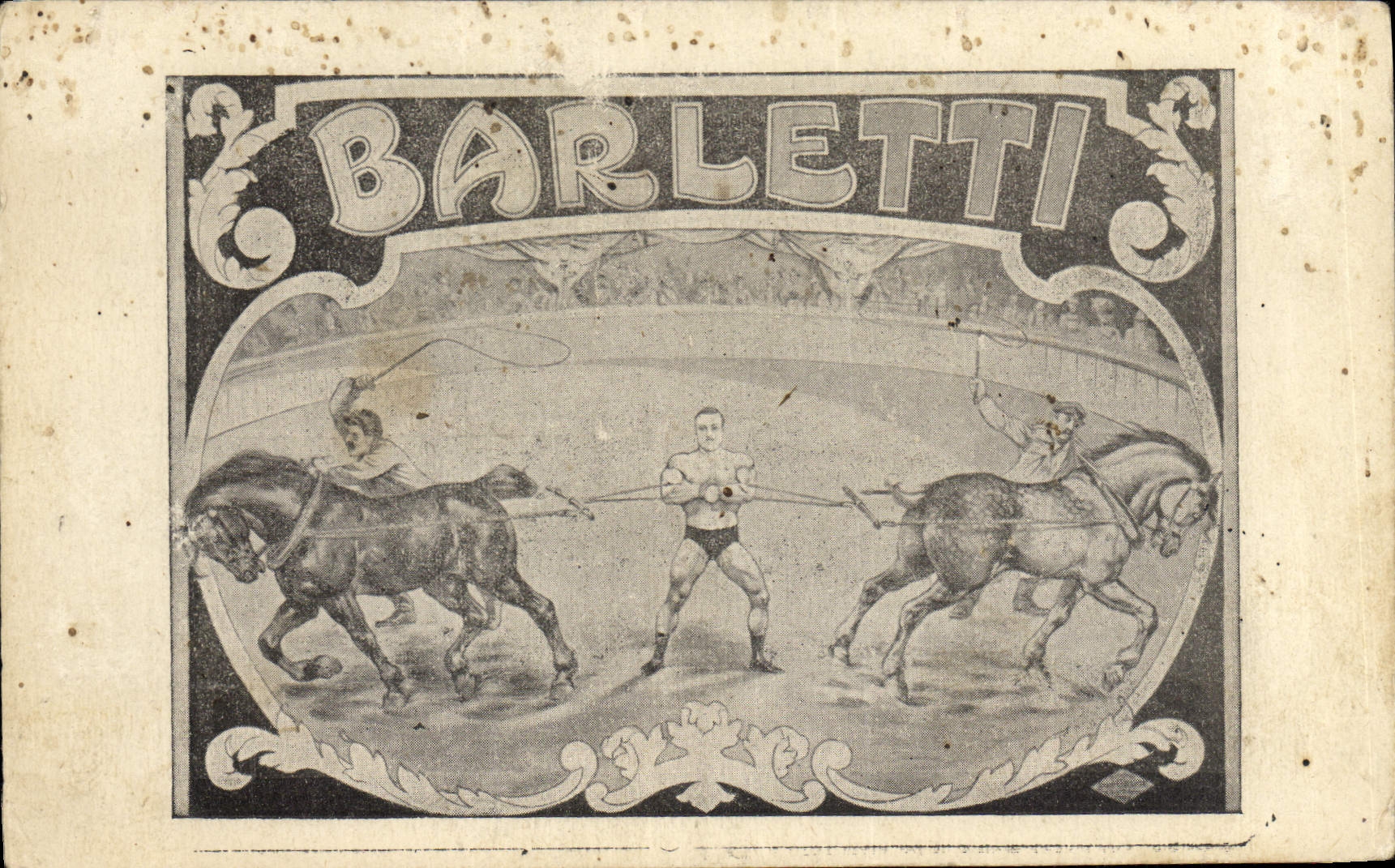 Vintage Postcard Barletti Horse