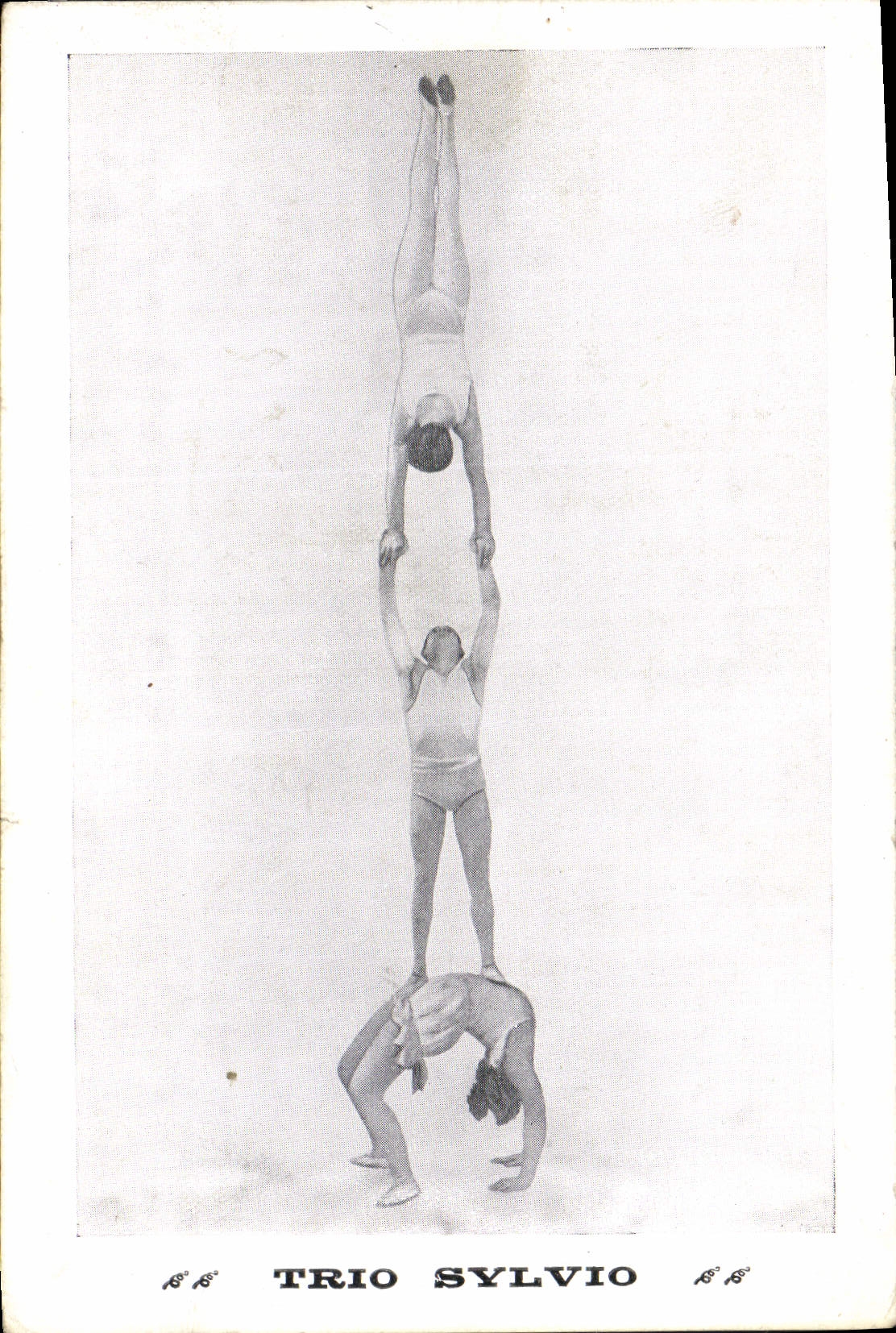 Vintage Postcard Sylvio Trio