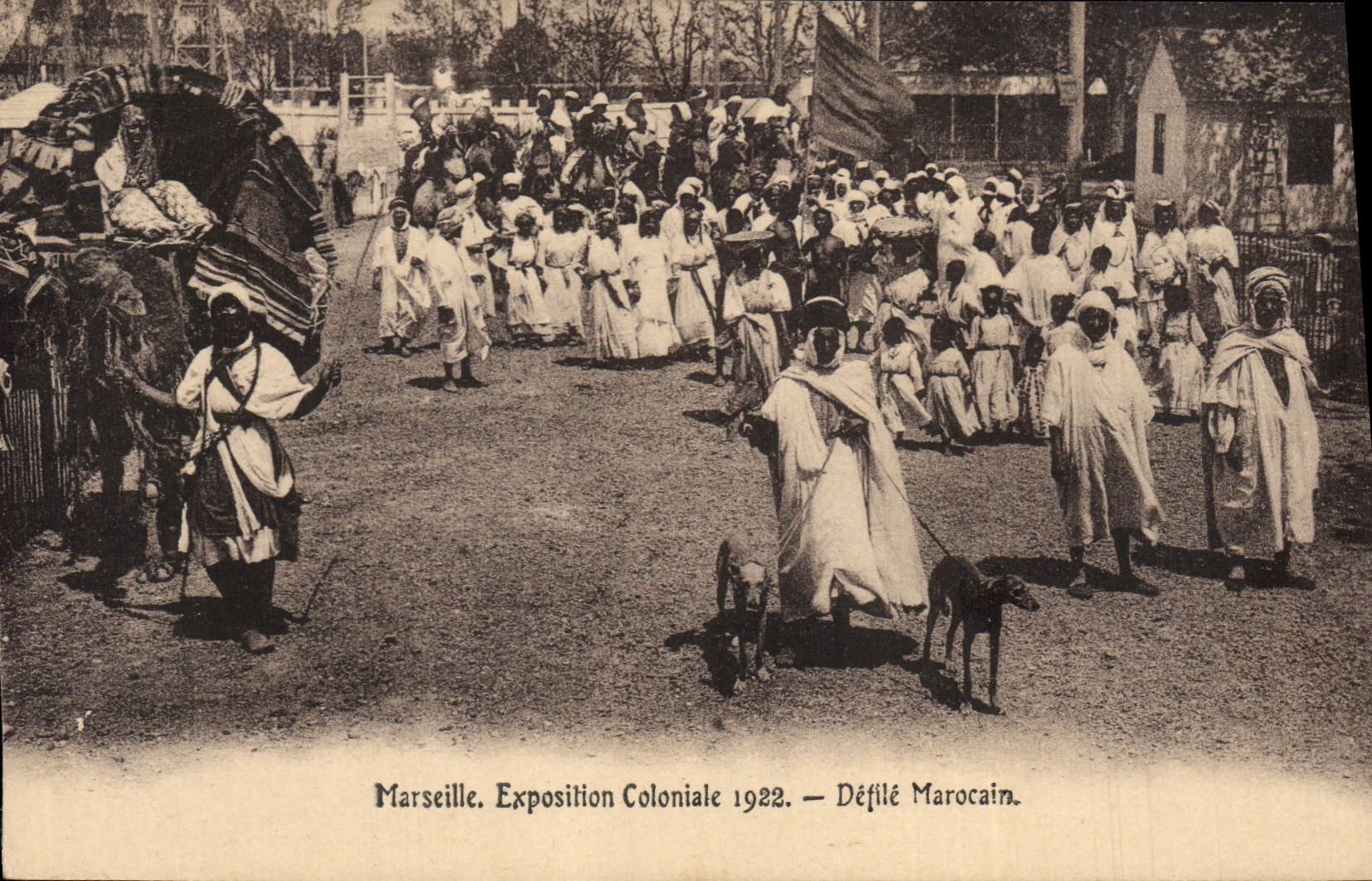 CPA Chien Chiens Marseille Exposition coloniale 1922 Defile Marocain Maroc Levrier