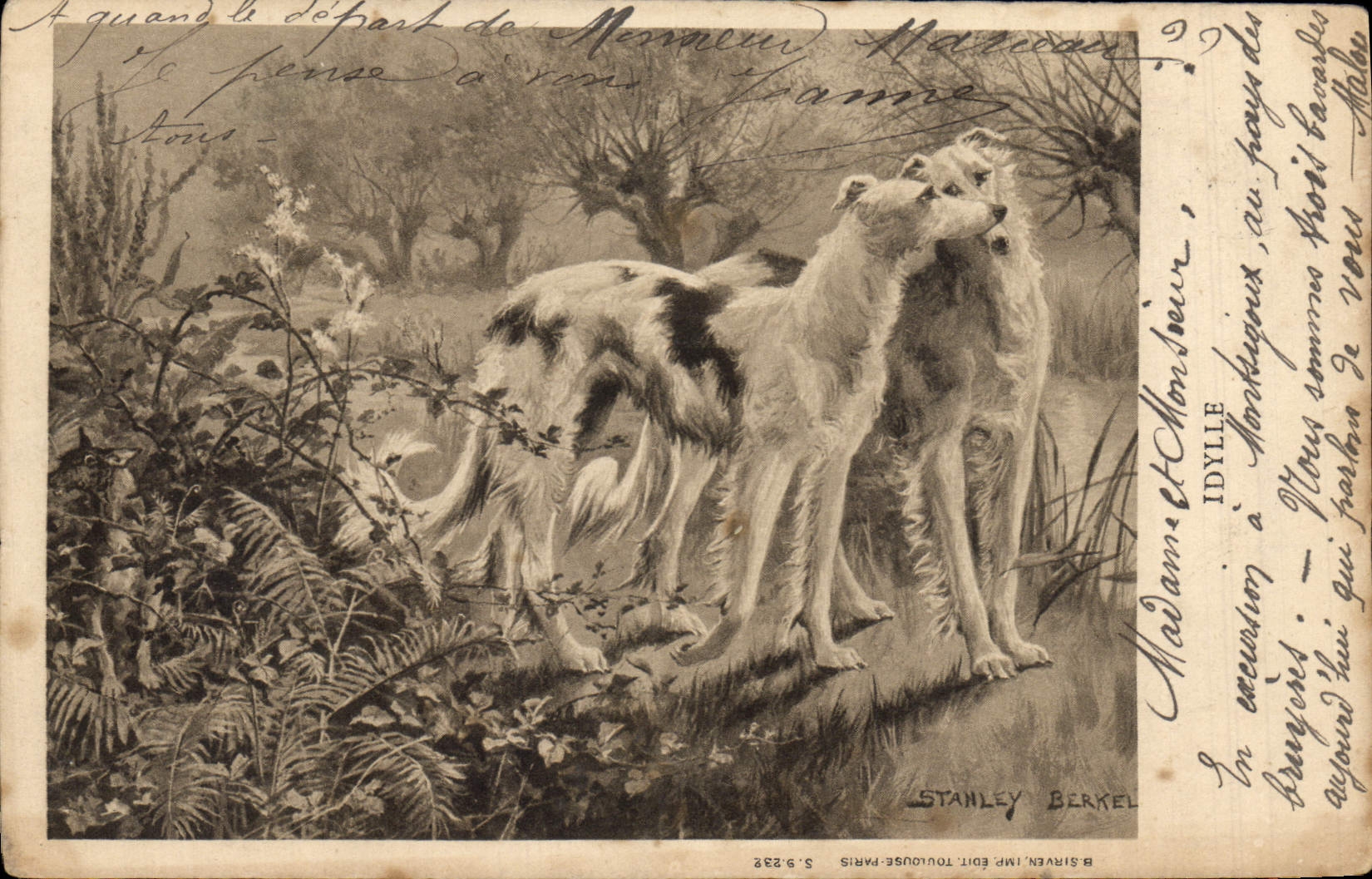 CPA Chien Chiens Levrier Levriers 