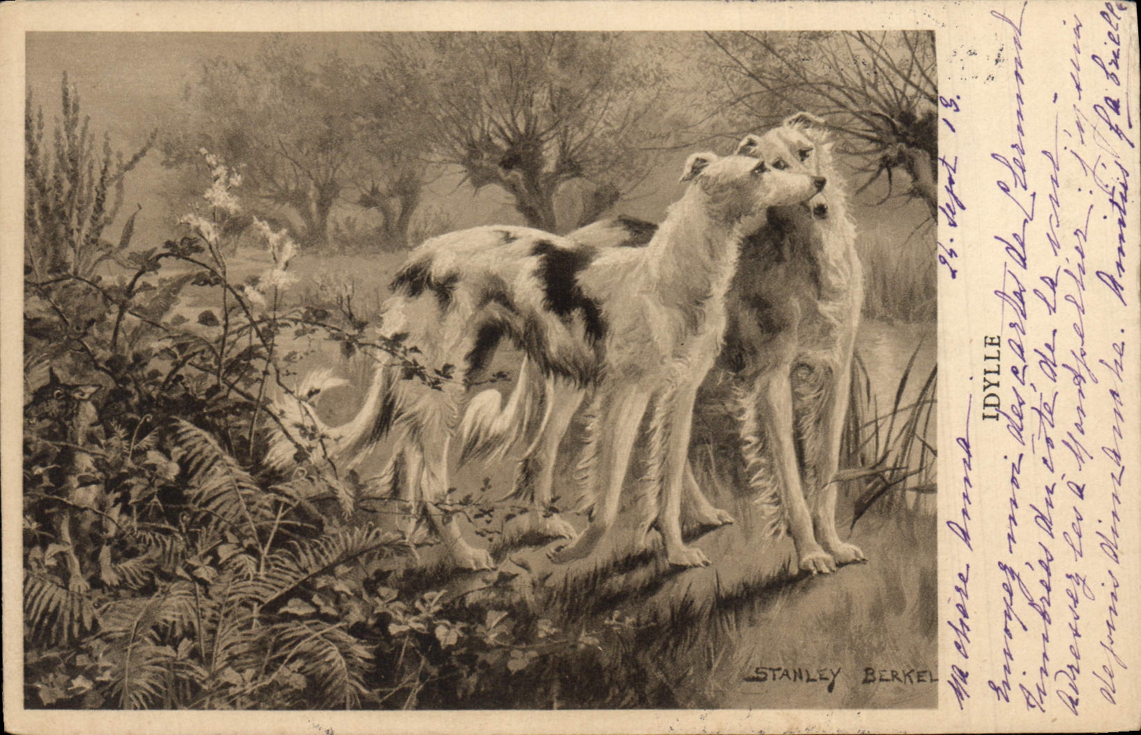 CPA Chien Chiens Levrier Levriers 