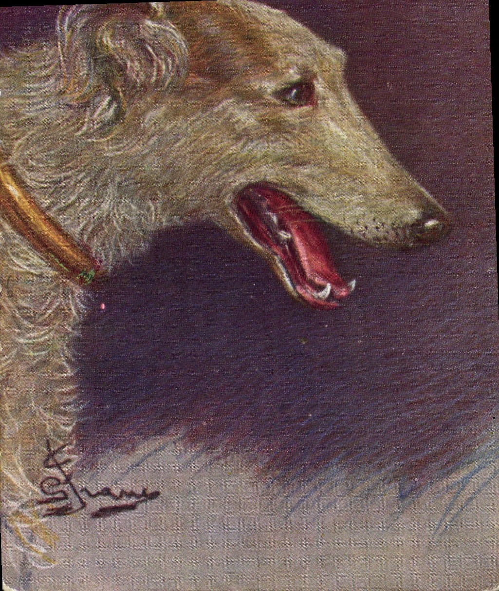 CPA Chien Chiens Levrier 