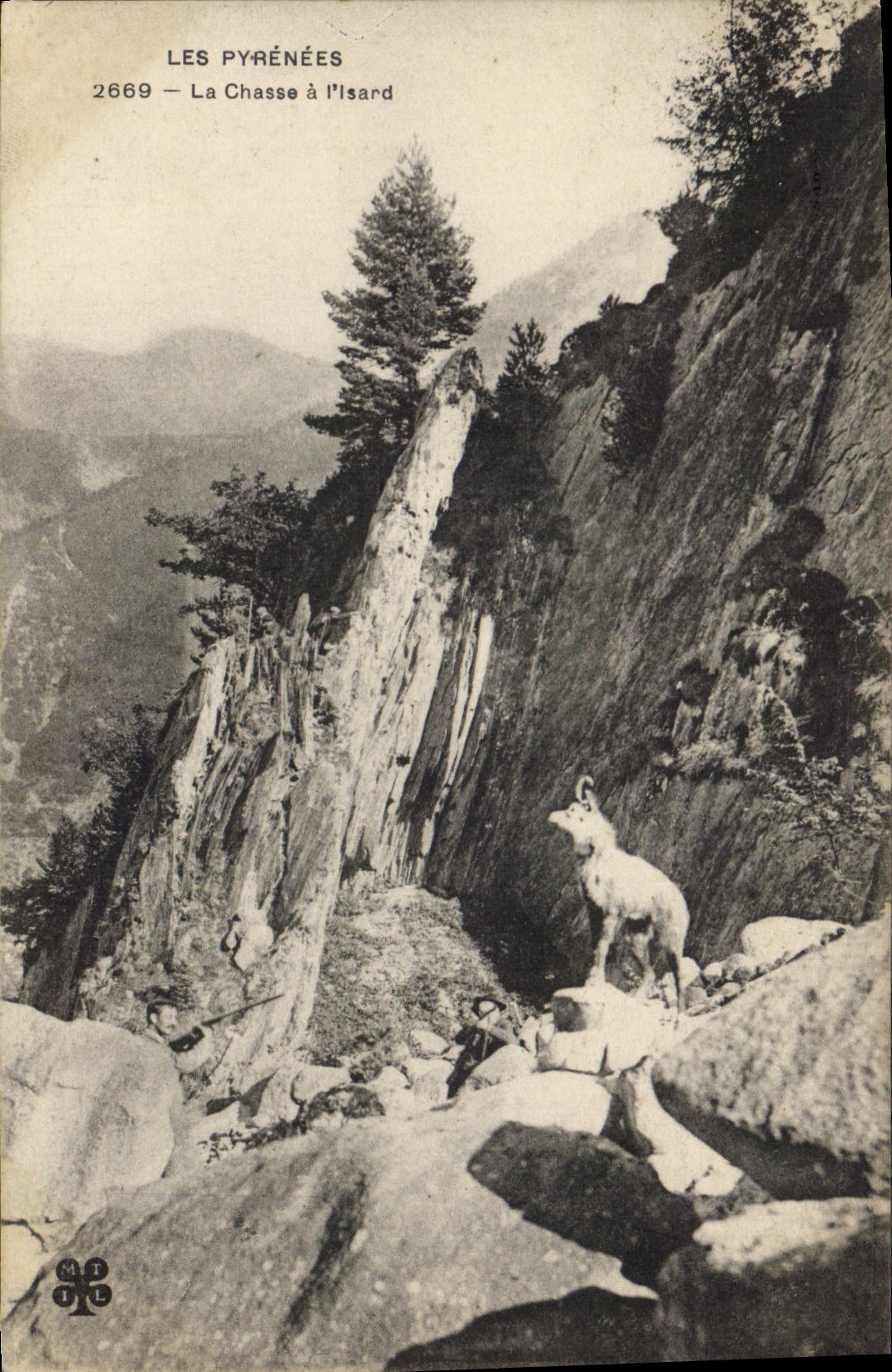 CPA Chasse Les Pyrenees La chasse a l'Isard