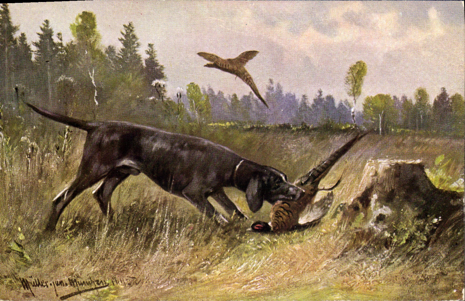 CPA Chasse Chien Perdrix 