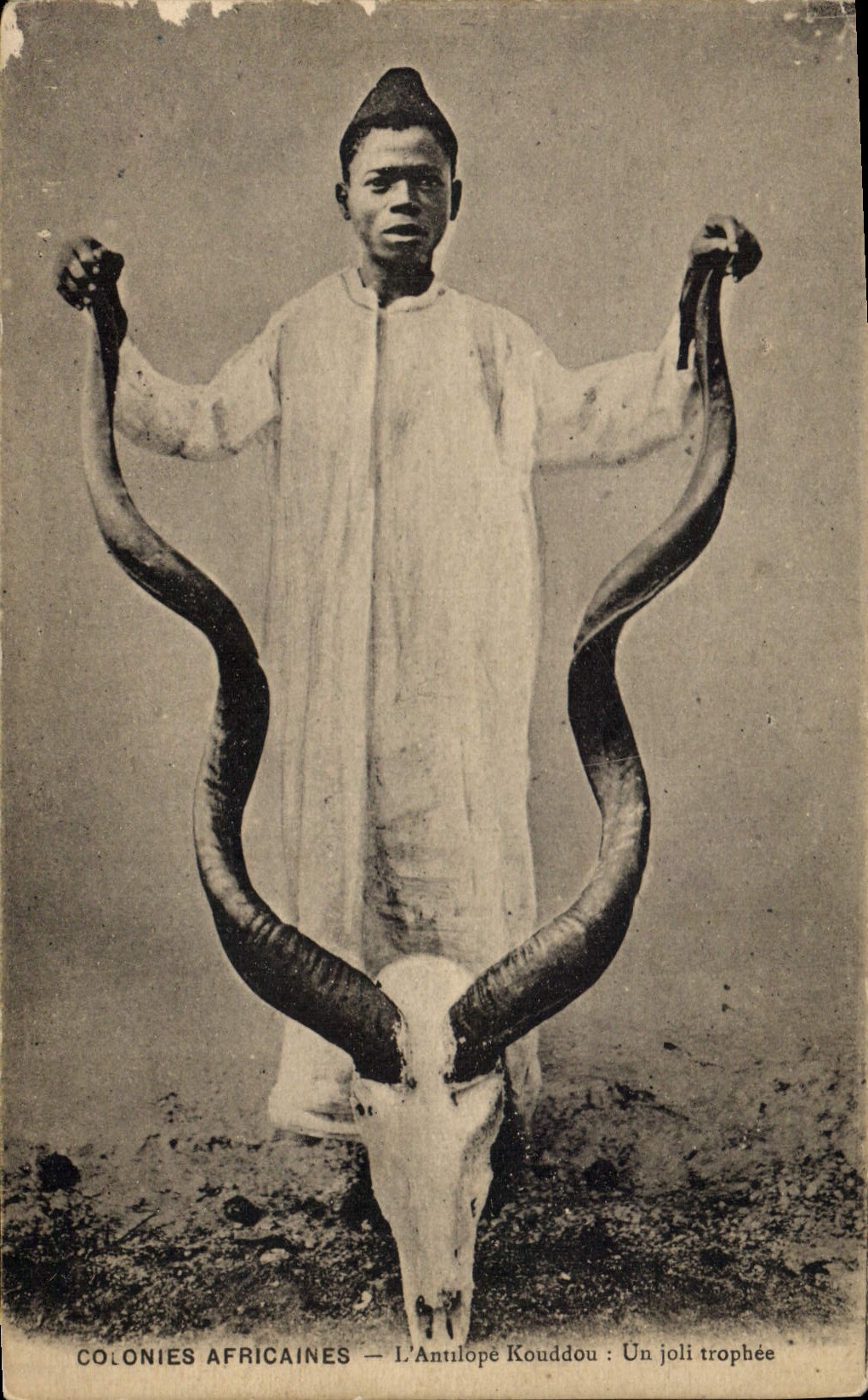 Postal Caza Colonias Africanas el antílope Kouddou un bonito trofeo